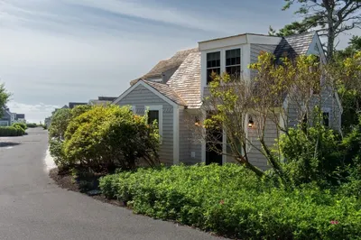 3 Hydrangea Ln #3 1
