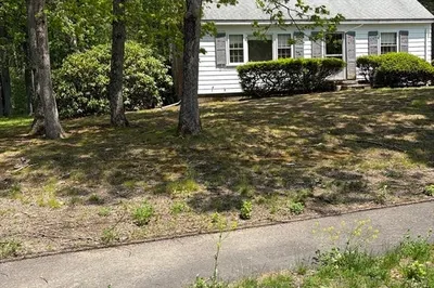 49 Alton St