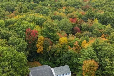 47 Sequoia Dr 1