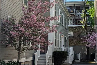 26 White Place #3
