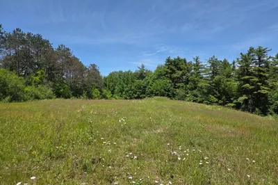 Lot 12b Willard Road