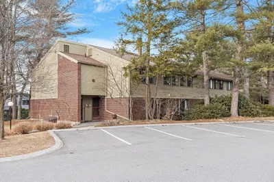 235 Brown Bear Crossing #235 1