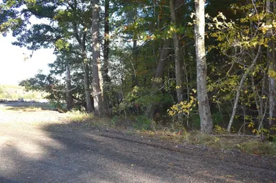 0 Lydia Wood Lot