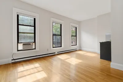 182 West Brookline Street #3 1