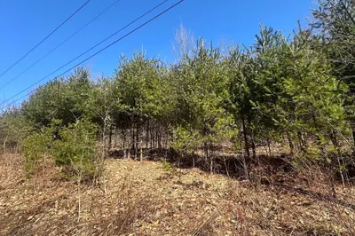 Lot 3 8 Beulah Land Rd 1