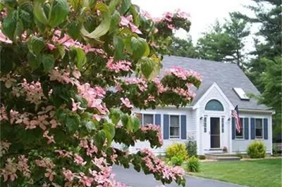 208 Mashpee Neck Rd