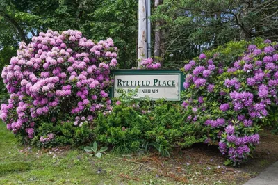 8 Longmeadow Dr #14A 1