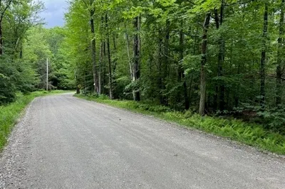 Lot 121 Davis Mine Rd 1
