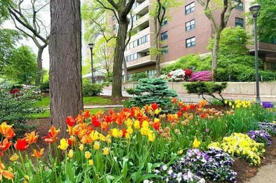 9 Hawthorne Pl #10E