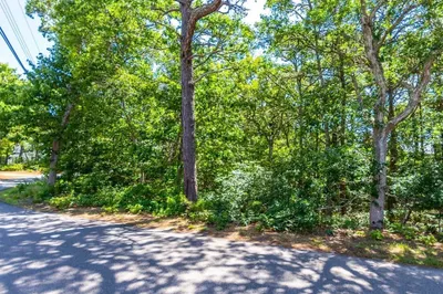 29 Sterling Rd 1