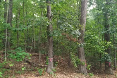 1005 Park Hill Road 1