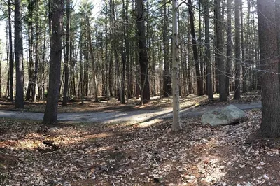 109 Nason Hill Rd Lot B Rd 1