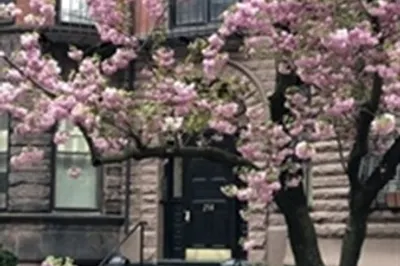 258 Marlborough #2R