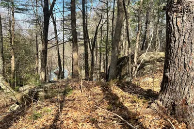 0 Pine Crest Dr