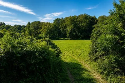 0 North Rd 1