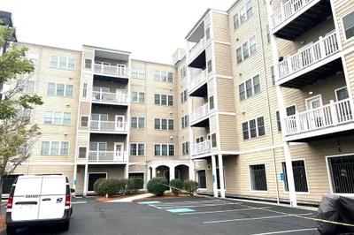 8 Walnut Street #207 1