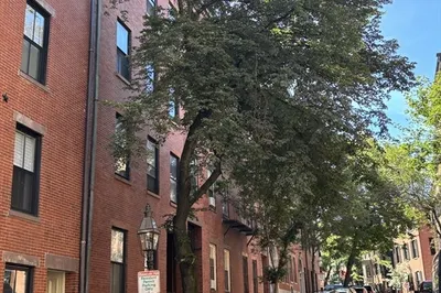 59 W Cedar Street #6