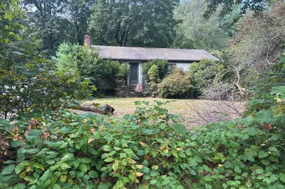 62 Carlisle Rd 1