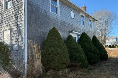 25 Morton Pl 1
