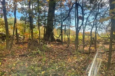 0 Pearl Hill Road