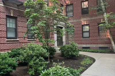 38 Linnaean Street #3 1