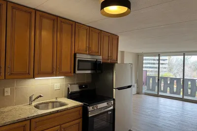 200 Swanton Street #234