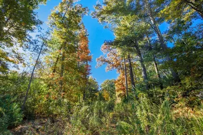 Lot 1 Danielle Drive 1