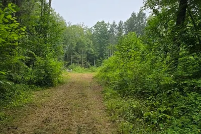 38 County Road 1