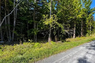 0 Gentian Hollow Rd 1