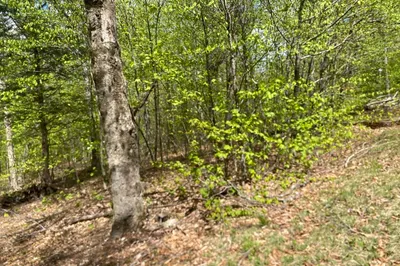 78 Shawnee Dr