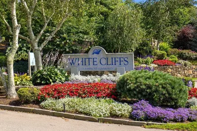 561 White Cliff Dr