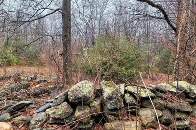Lot 94.2 Skyline Trail 1