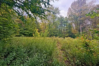 60 Stone Hill Road