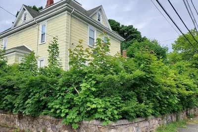 83 Arnold St 1