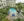 416 Commonwealth Ave #314 Floor 3