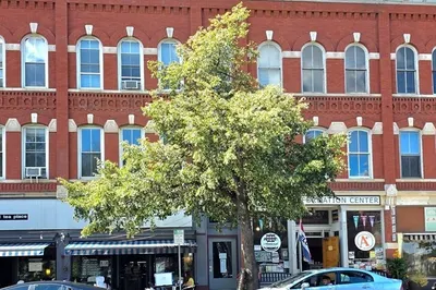 37 South Pleasant St #3R 1