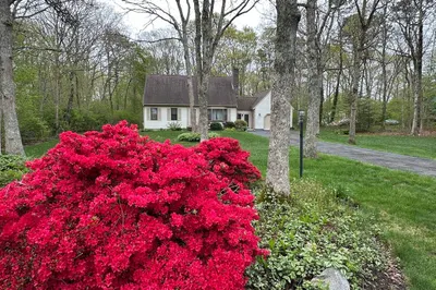 10 Little Acorn Ln 1