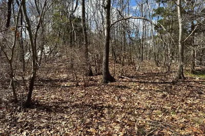 27 Old Pine Island Road