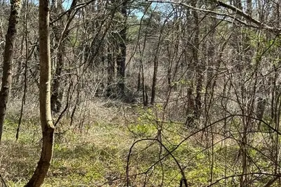 660 Mendon Rd Lot 3 Rd 1