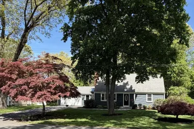 74 Birch Road 1