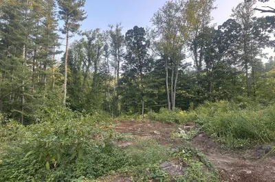 193 Justice Hill Cutoff