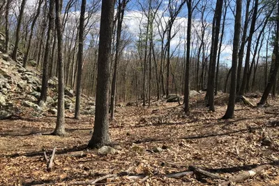 32 Sumner Mountain Rd