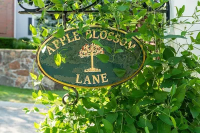 67 Apple Blossom Lane #9 1