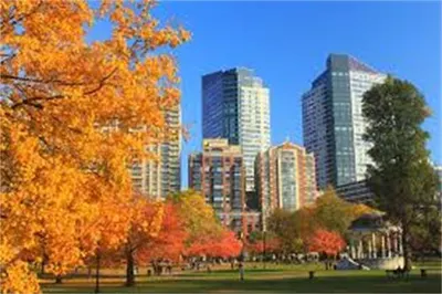 2 Avery St #33H