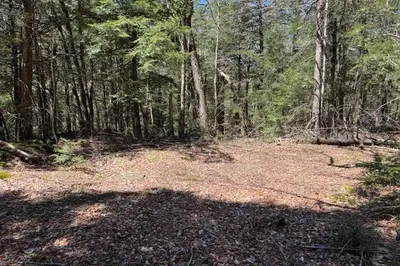 0 Spruce Corner Rd 1