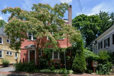 8 Wright St #2 1