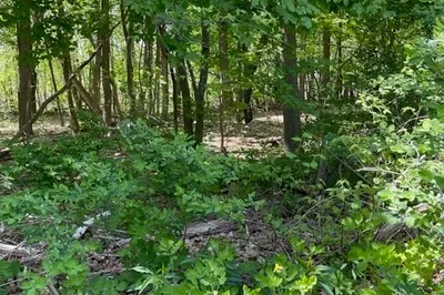 Lot A Alton Ave