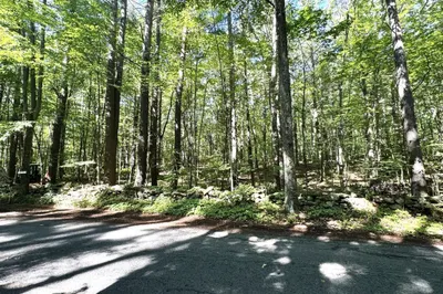 Lot 2 Daniels Road 1