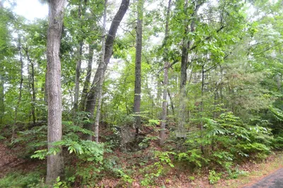 32 Coffey Hill Rd