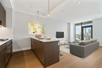 100 Shawmut Avenue #1101